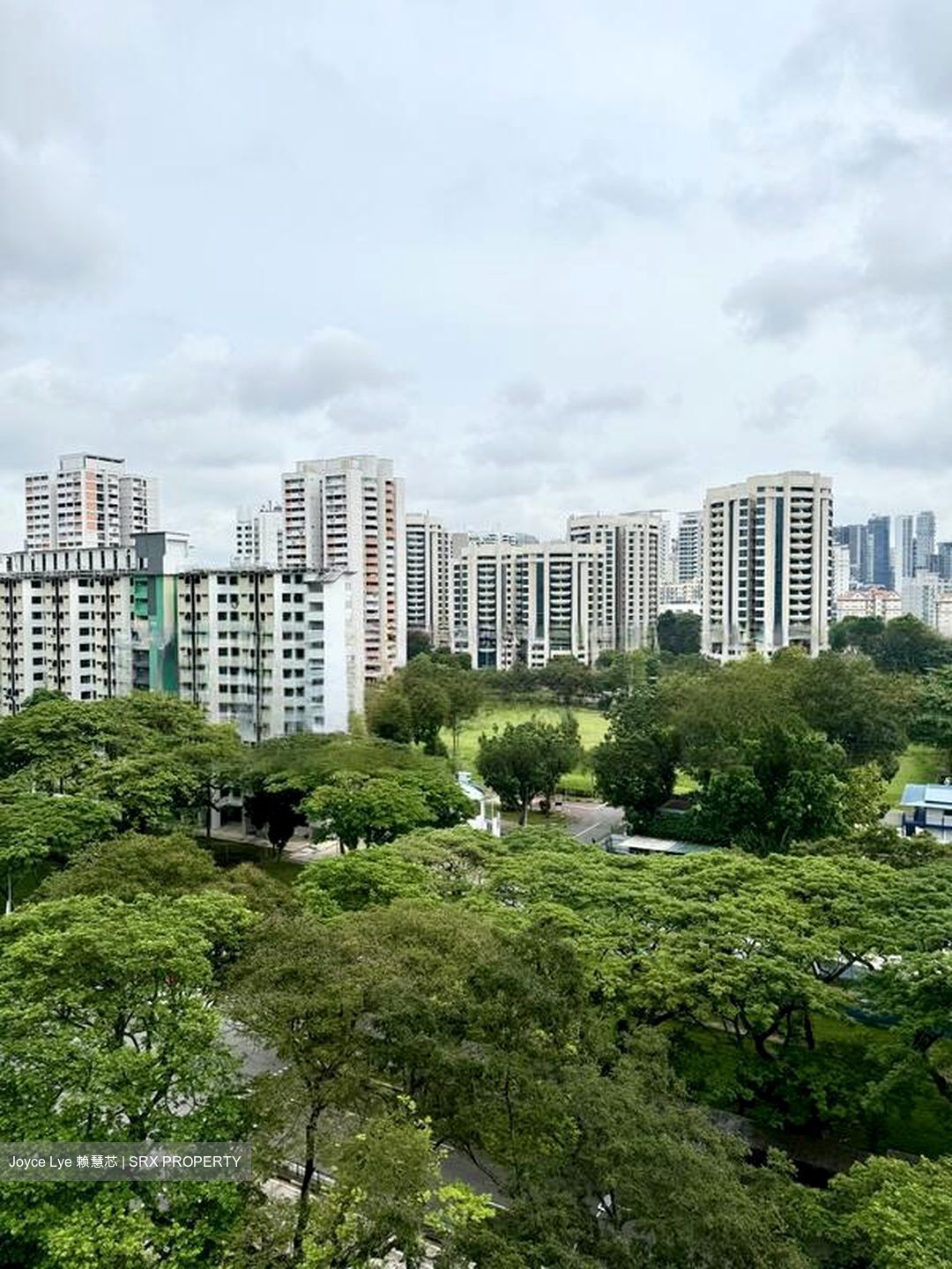 Emerald Park (D3), Condominium #476096721
